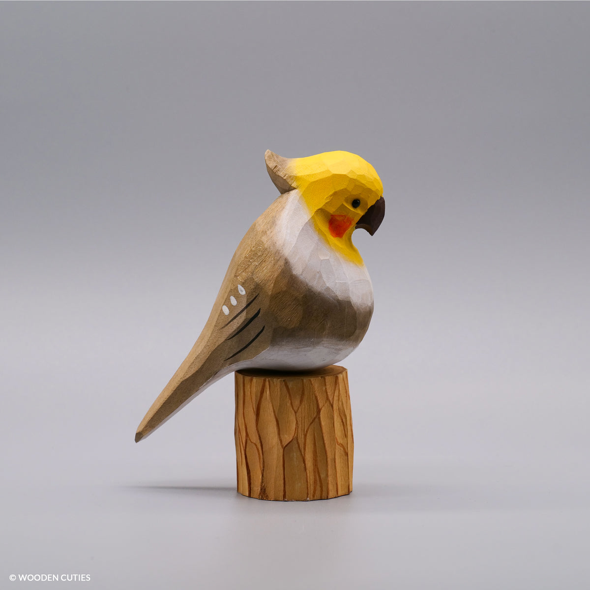 Set of 30 Birds