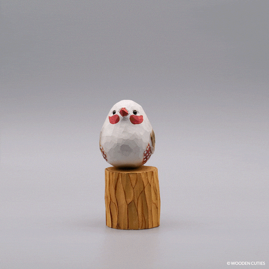Classic Female Zebra Finch