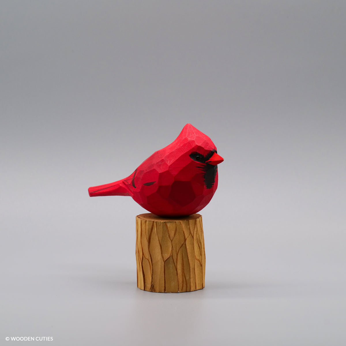 Set of 30 Birds