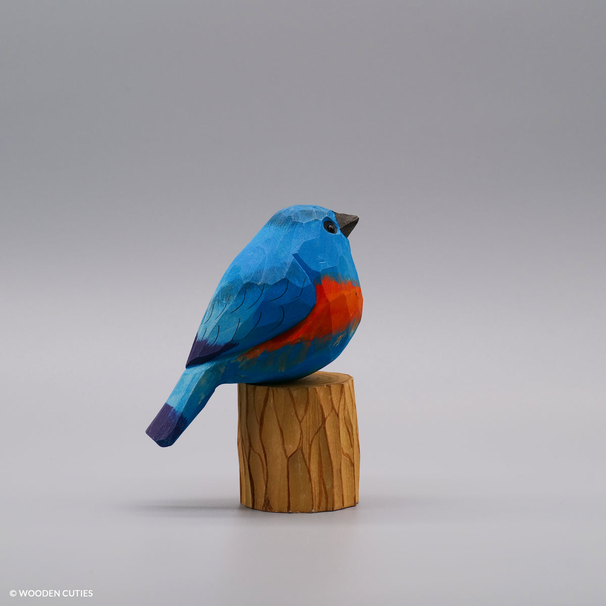 Set of 20 Birds