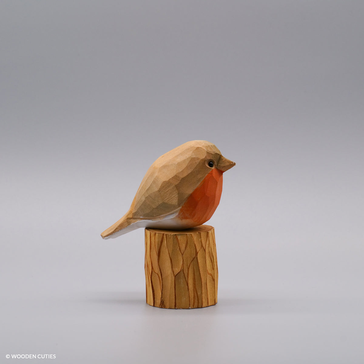 Set of 30 Birds