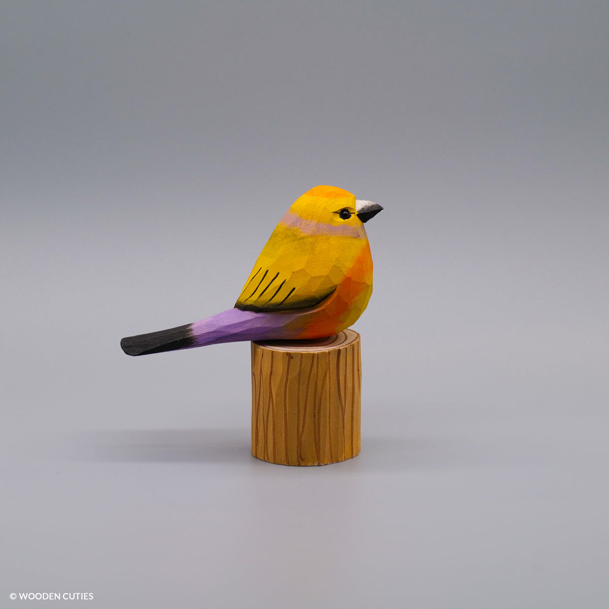 Set of 30 Birds