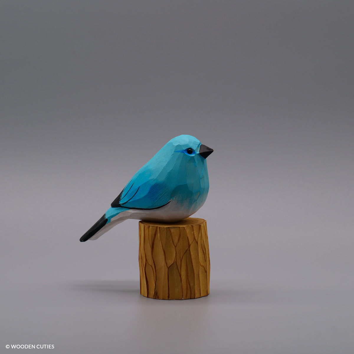 Set of 30 Birds