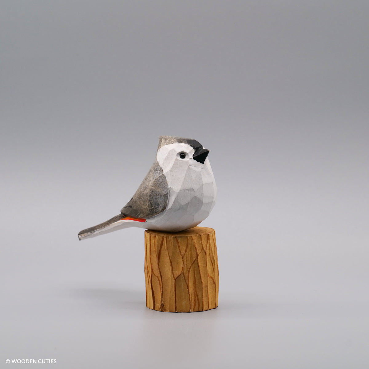 Set of 30 Birds