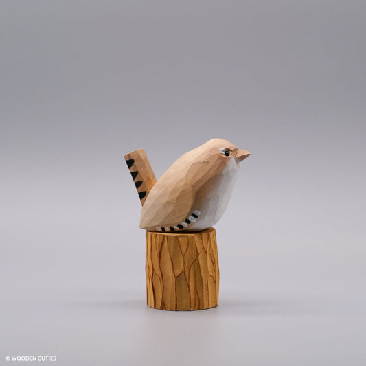 Set of 30 Birds