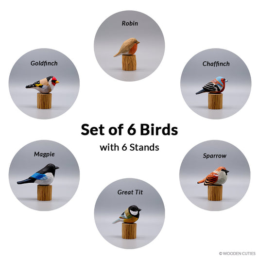 Set of 6 Birds