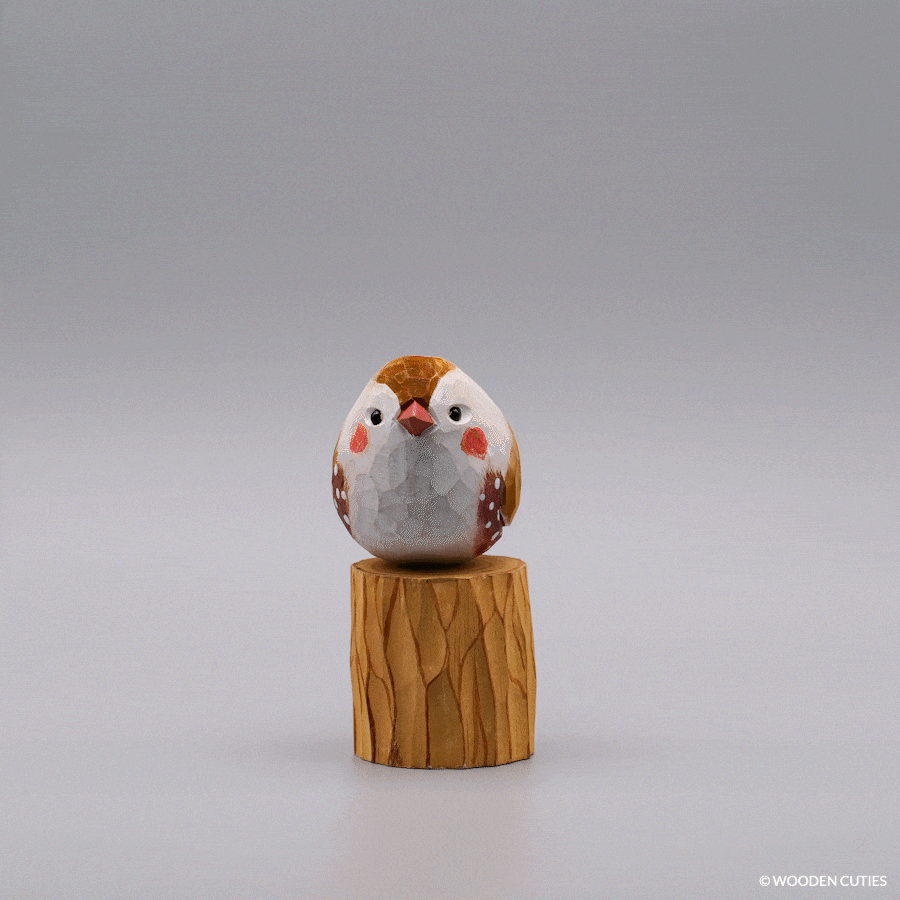 Classic Male Zebra Finch