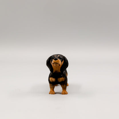 Black Dachshund