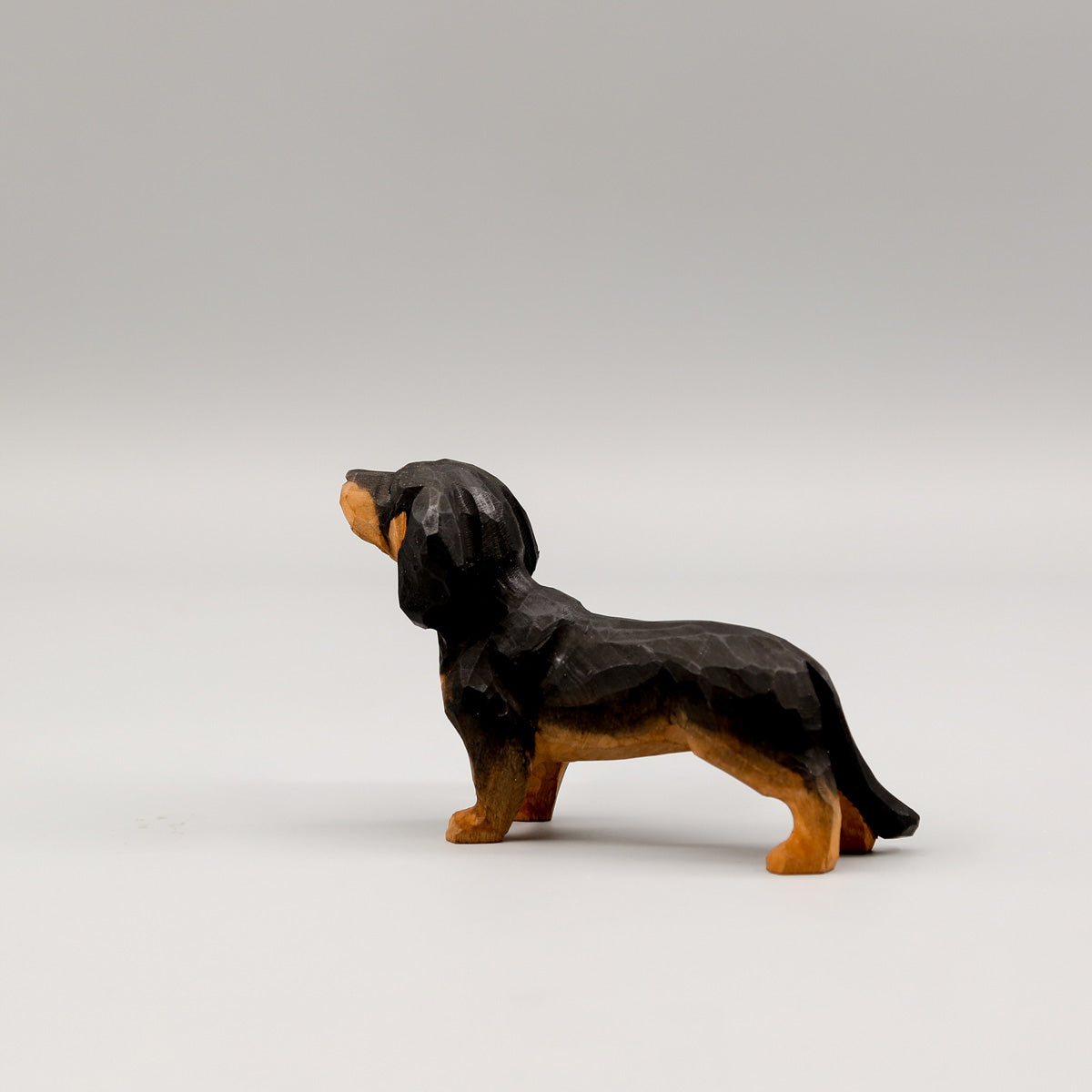 Black Dachshund