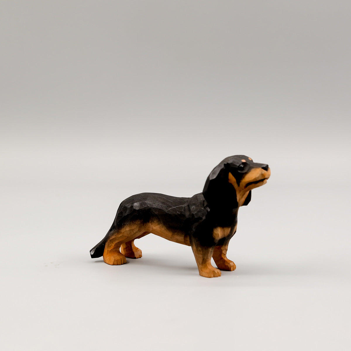 Black Dachshund