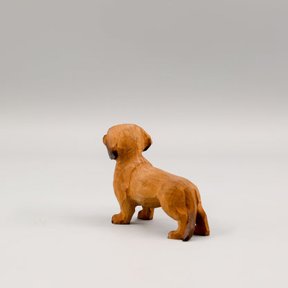 Brown Dachshund