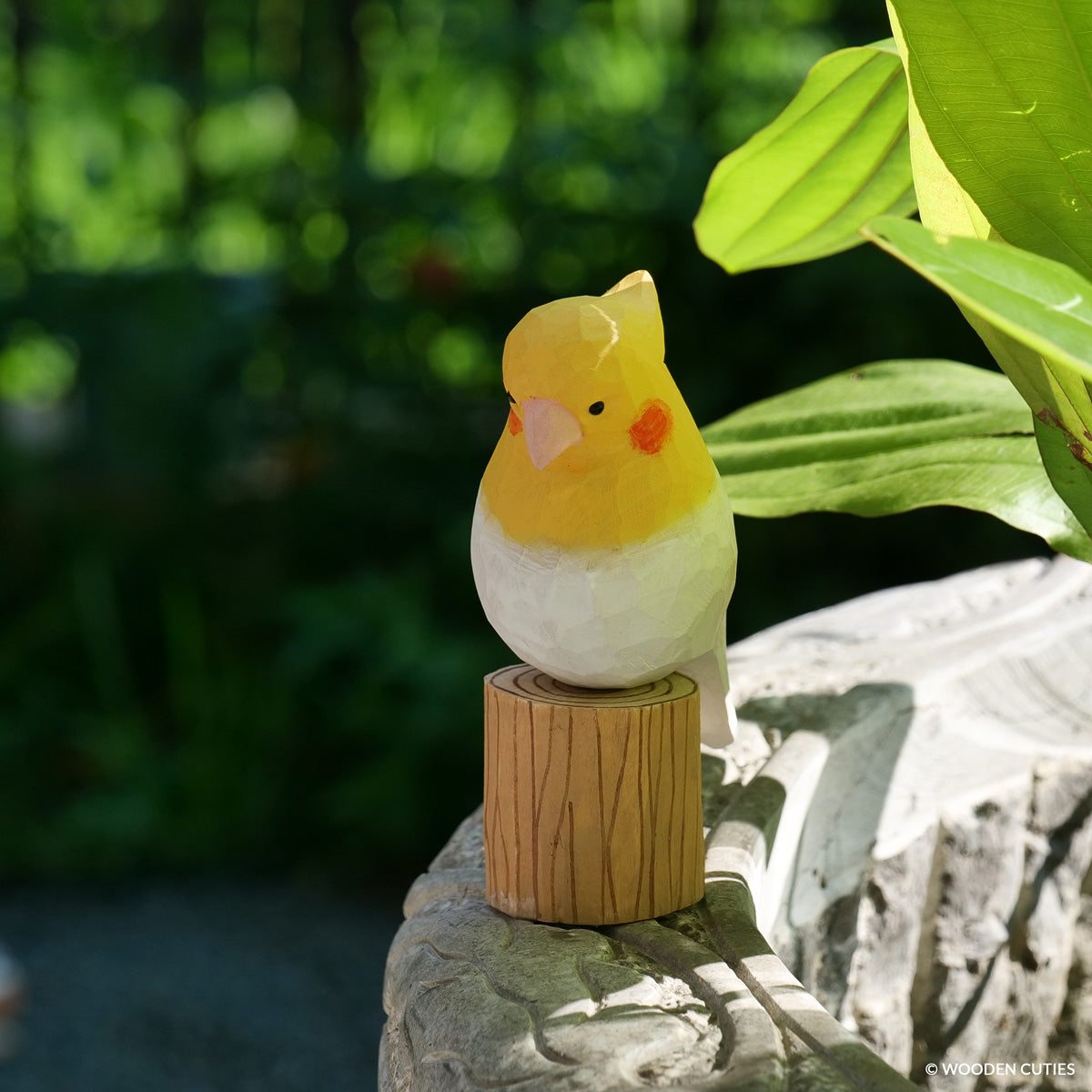 White Cockatiel + Stand