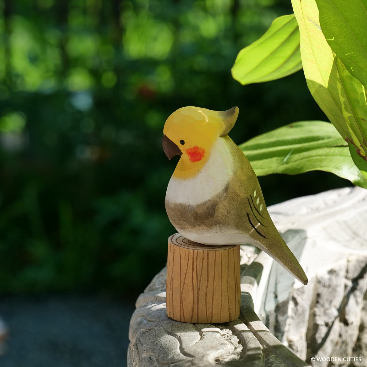 Grey Cockatiel + Stand