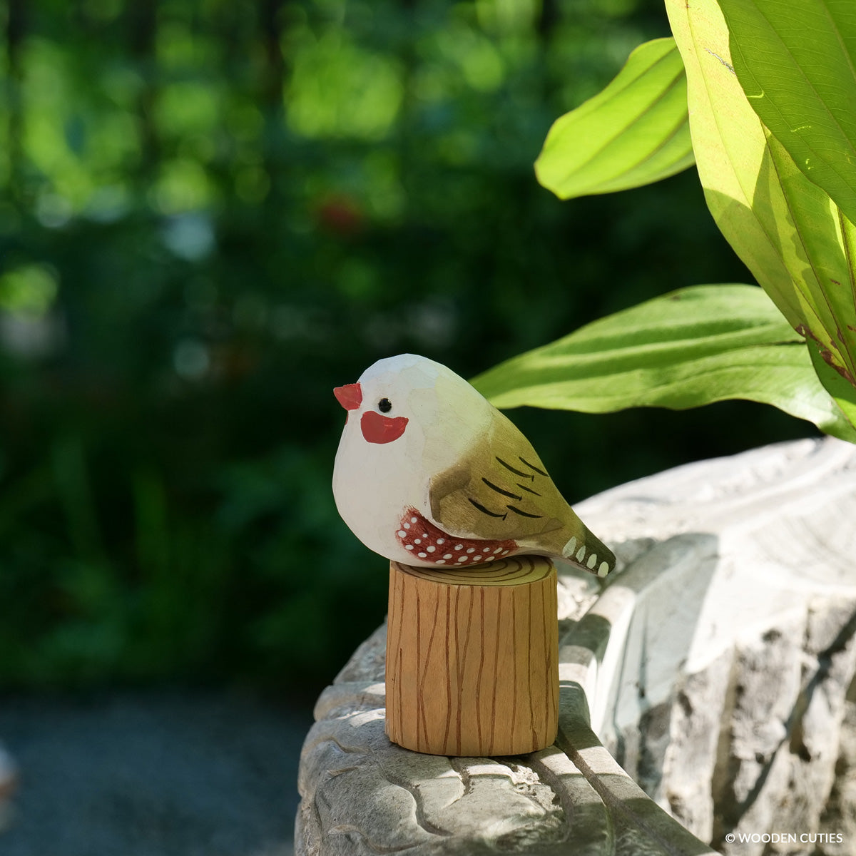 White Zebra Finch #20 + Stand