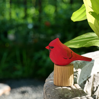 Male Cardinal #14 + Stand