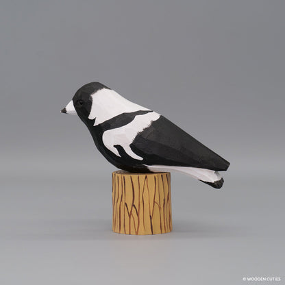 Australian Magpie + Stand