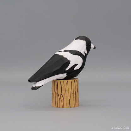 Australian Magpie + Stand