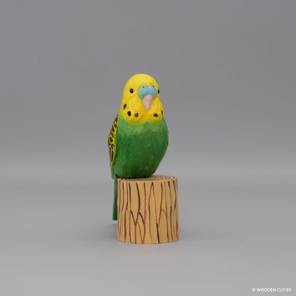 Budgerigar + Stand