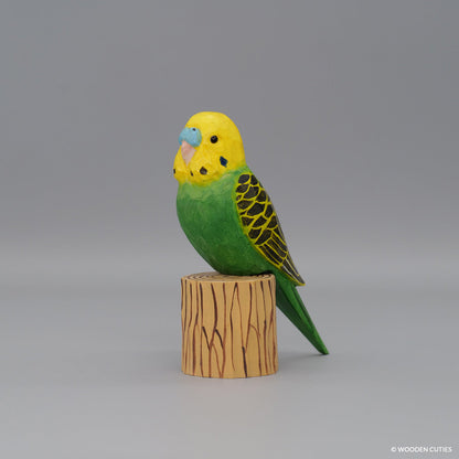 Budgerigar + Stand