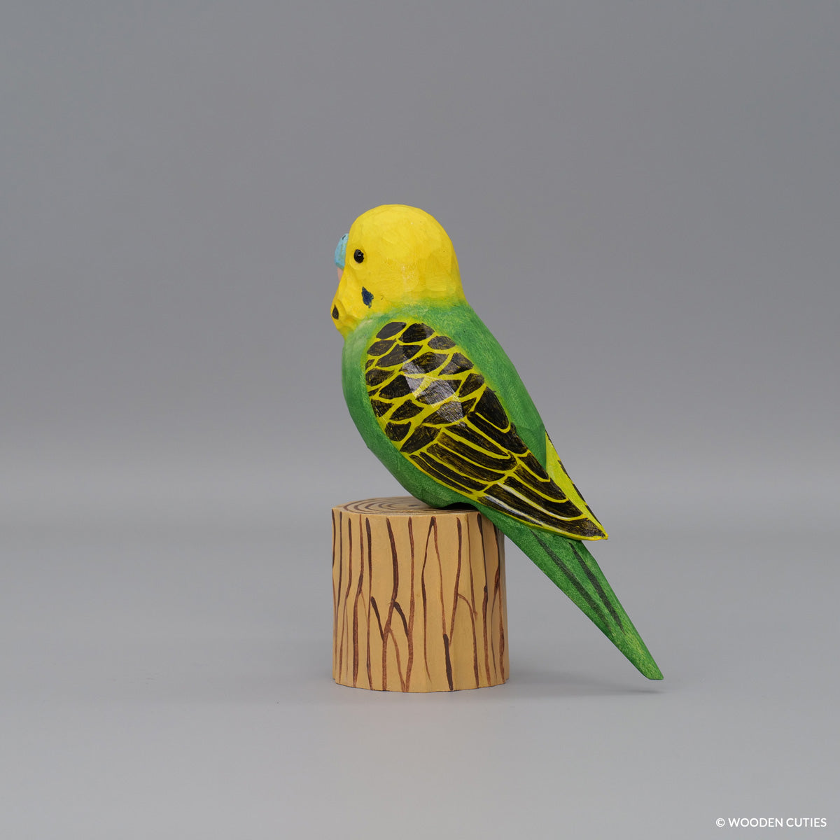 Budgerigar + Stand