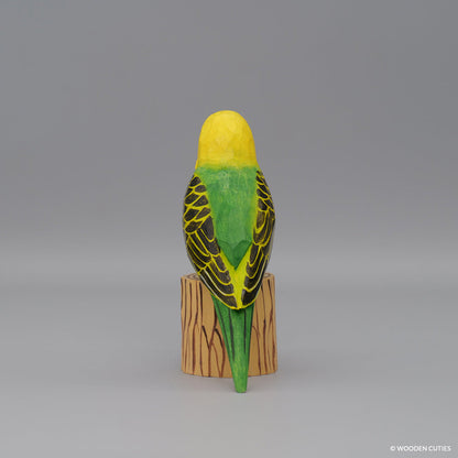 Budgerigar + Stand