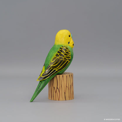 Budgerigar + Stand