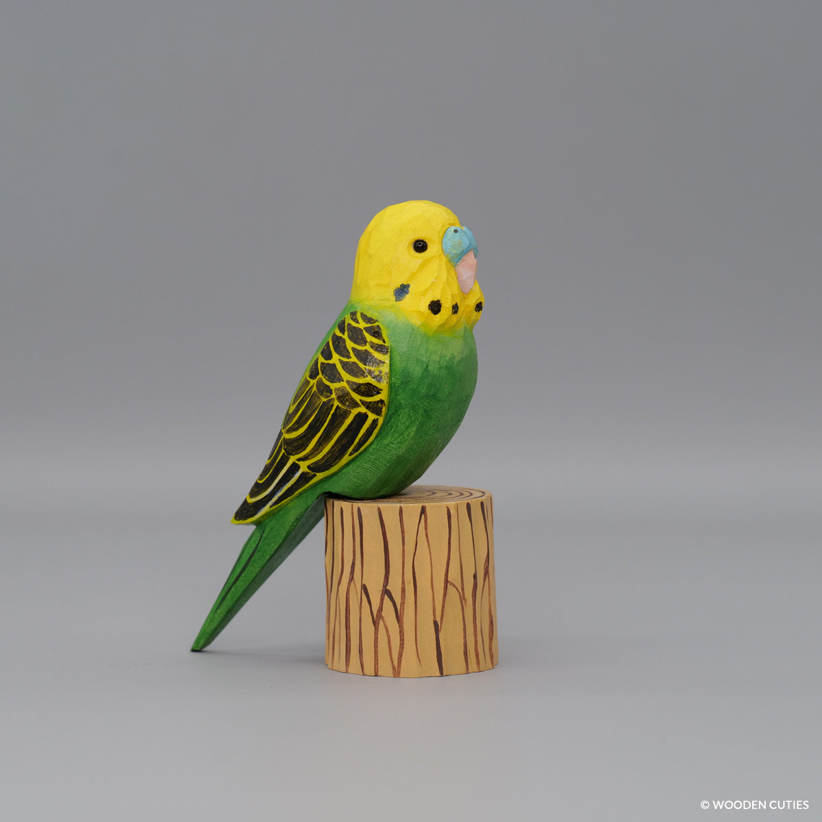 Budgerigar + Stand