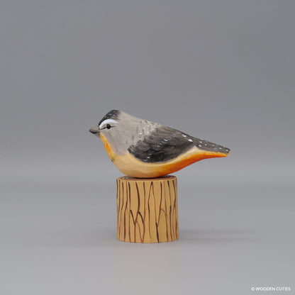 Spotted Pardalote + Stand