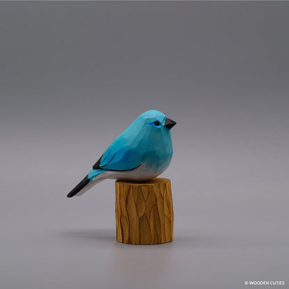 Mountain Bluebird #17 + Stand