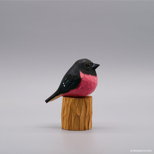 Pink Robin #22 + Stand