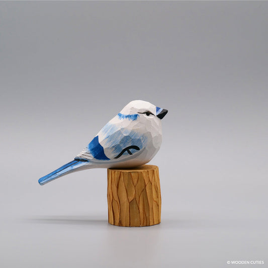 White Blue Jay #26 + Stand