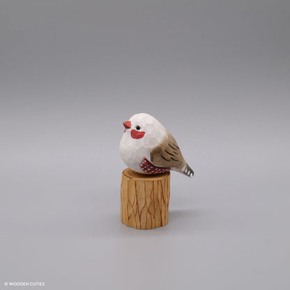 White Zebra Finch #20 + Stand